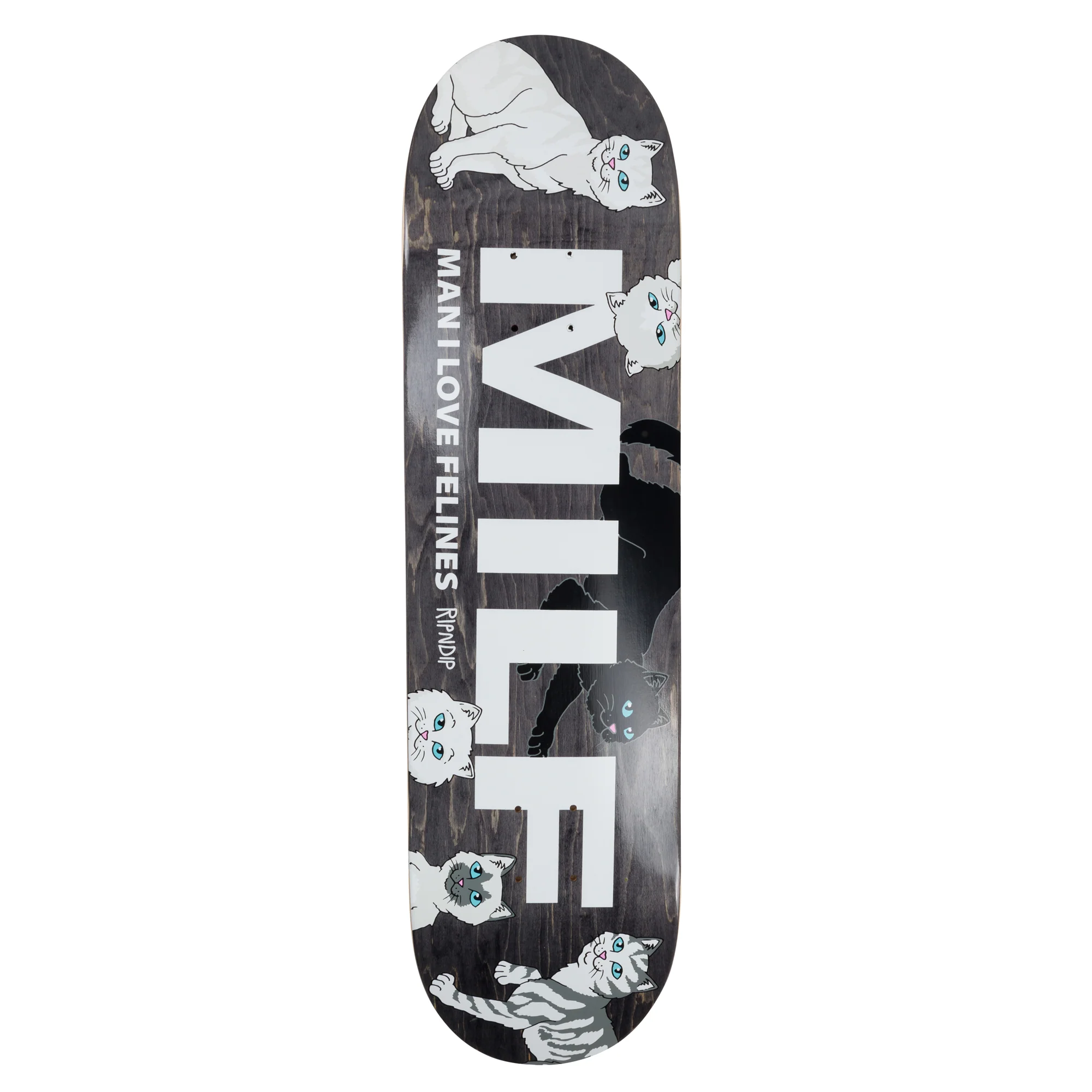 January 25 Sale